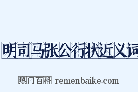 明司马张公行状近义词是什么意思的图片